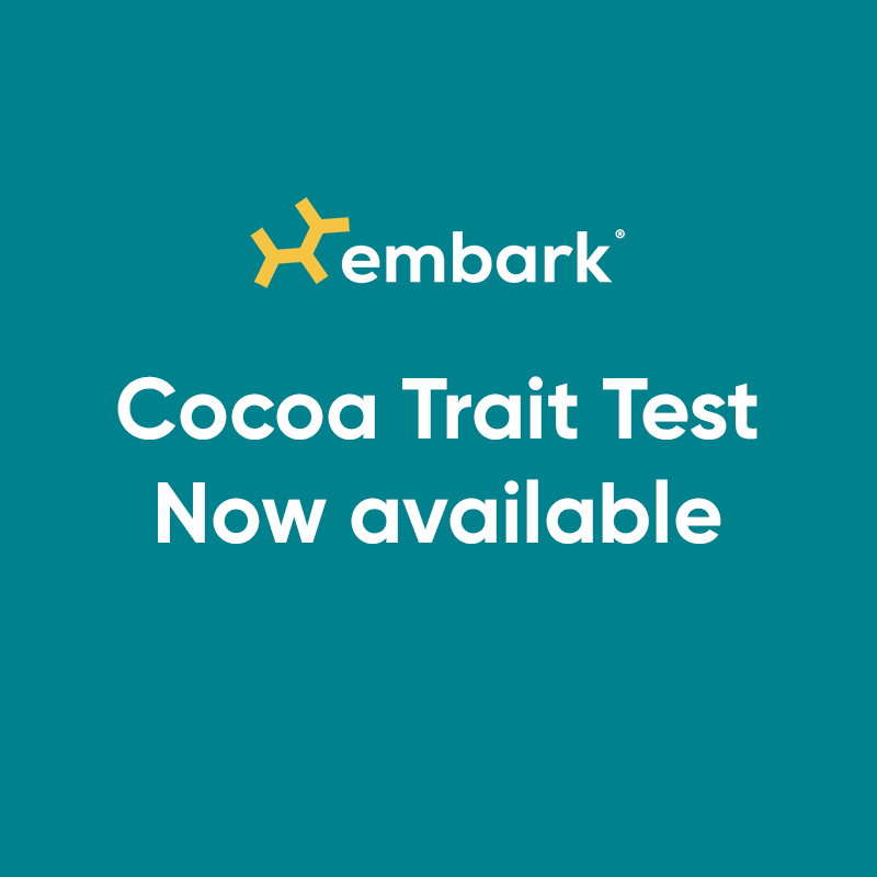 Cocoa Trait Test Added to Embark for Breeders Product